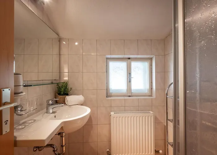 Chalet Ferienhaeuser