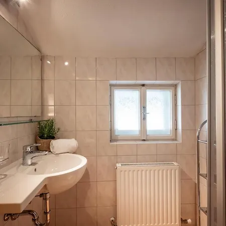 Chalet Ferienhaeuser